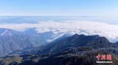 闽北云海雾凇绘成冬日美景